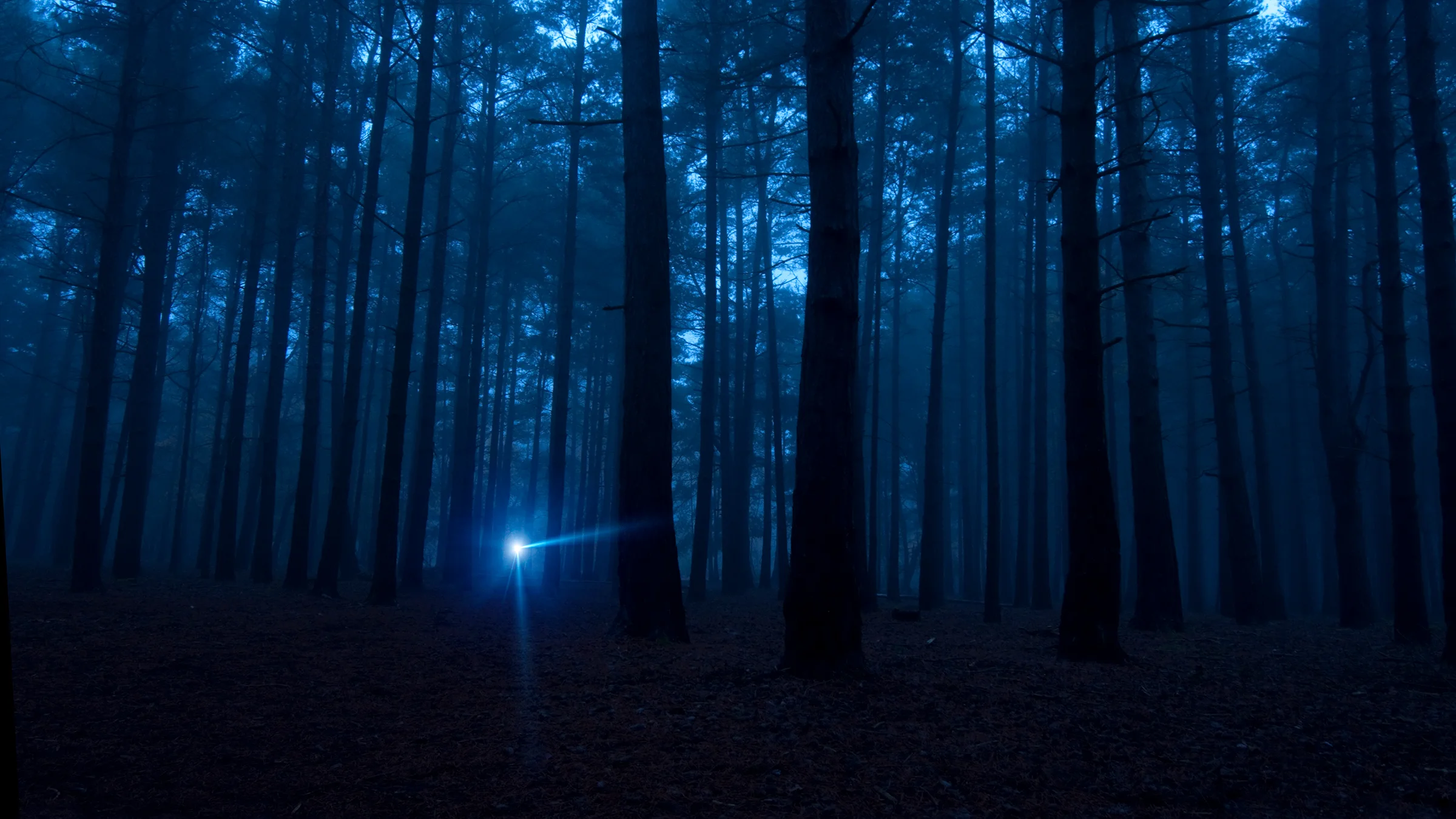 A disturbing trail at night in the Appalachian Mountains.