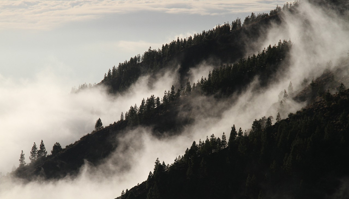 The Smoky Mountains, a subrange of the Appalachian Mountains.